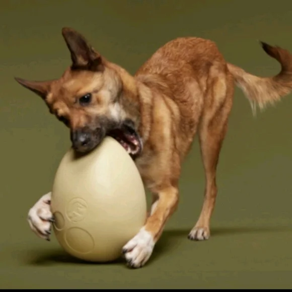 Cream Dog Toy Egg with Indented Designs - Picture 6 of 6